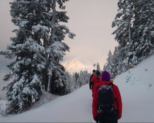 tessajdaviis's profile picture. 