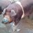 Farrosos (@farrosos) Twitter profile photo