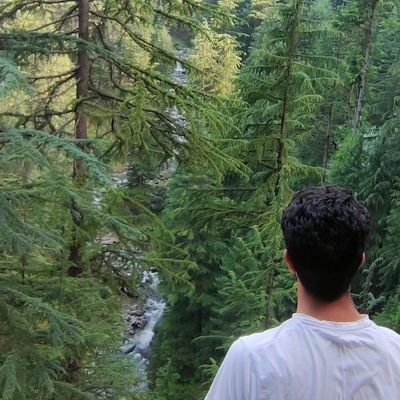 SohailJagwal's profile picture. سبز پتہ ہوں خزاں کے عالم میں