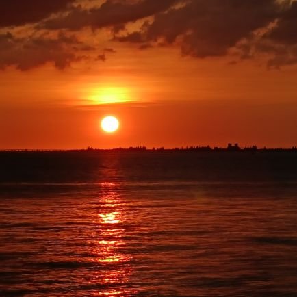 yigeyueban45237's profile picture. 