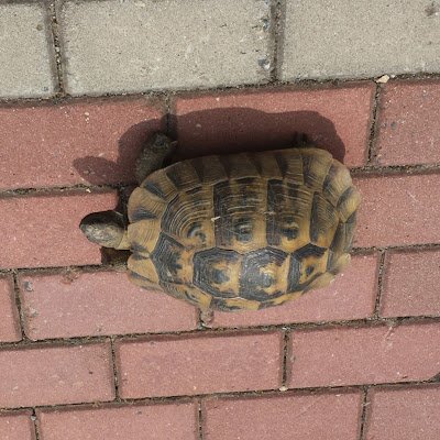 erkanuslu52's profile picture. 