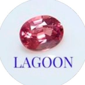 『LAGOON』
豊島区・西巣鴨の小さなジュエリーショップです
オーナーの小野貴彦です。
宜しくお願い致します。
カラーストーンやパール、ピアスなどがメインアイテムです。
Pay ID(元BASE) ヤフオク メルカリに出品しています。
豊島区西巣鴨4-15-8-101