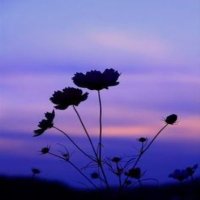 Citlali, Yoliztli, Tlali, Nantli, Azomalli #LDTC (@citlali_cuba93) 's Twitter Profile