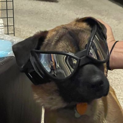 jcelia1551's profile picture. 