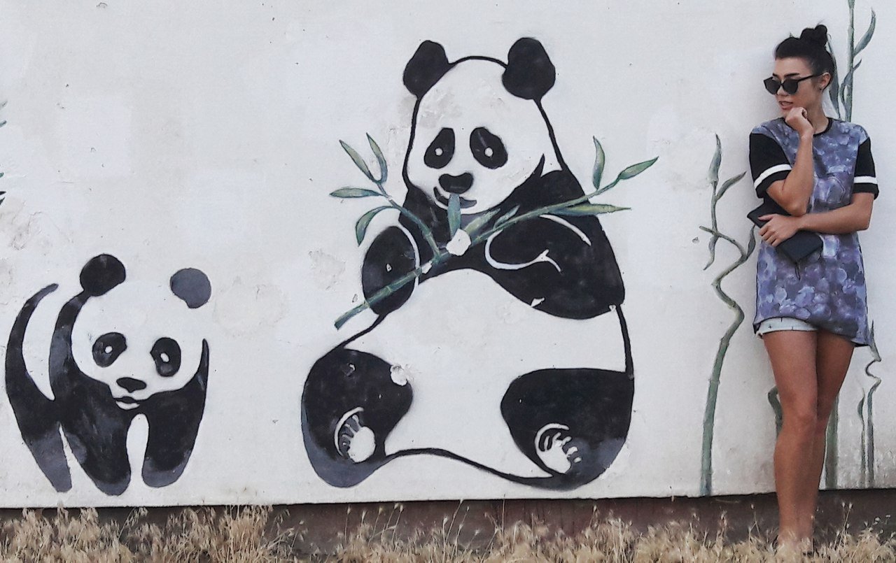 egmyeverfi58572's profile picture. Médico ortopedista, entusiasta do mercado cripto.