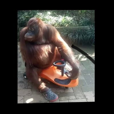 croclieb's profile picture. 