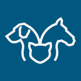 StromsholmAB's profile picture. 