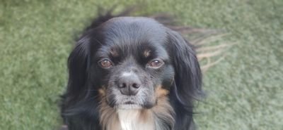 FrankBos19's profile picture. 