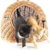 La maman de Hari (@maman2hari) Twitter profile photo La maman de Hari (@maman2hari) Twitter profile photo