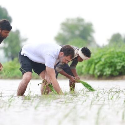 puru1650's profile picture. 