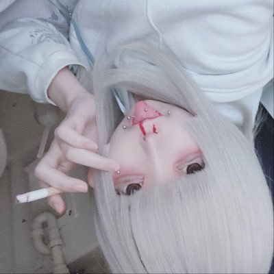 ykt_muhochitai Profile Picture