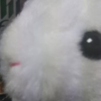 りふぃ (@lfeaa_gi) 's Twitter Profile
