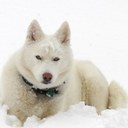 Sue Sowers - @SueSowers - Twitter