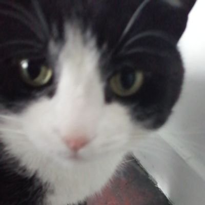 PBuxey28827's profile picture. 