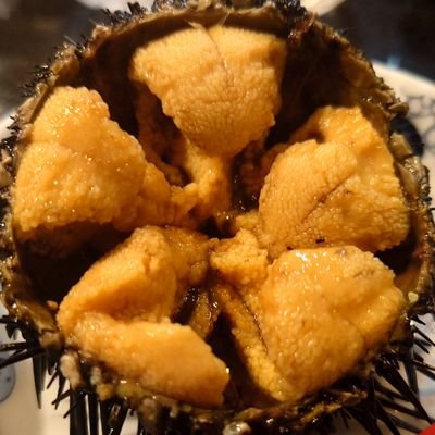 TOMOSANiza's profile picture. 