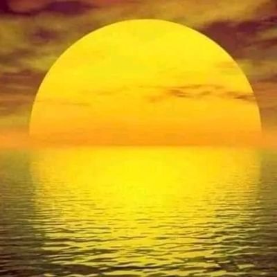 BlaWidzo74's profile picture. 