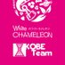 WC神戸KOBEチーム丨ホワイトカメレオン丨夜のGOMI拾いウォーキング丨CAA公式❣ (@wc_kobe_caa) Twitter profile photo