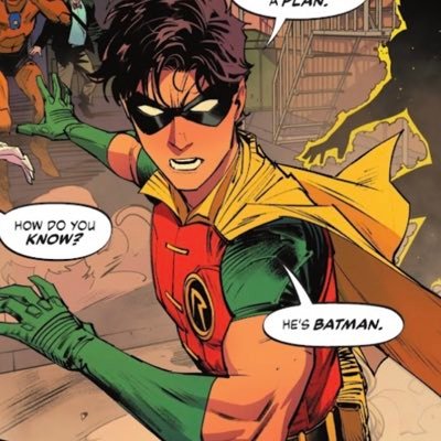 dick grayson enthusiast |BATCEST/PROSHIP DNI