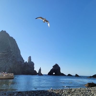 gusmql's profile picture. 