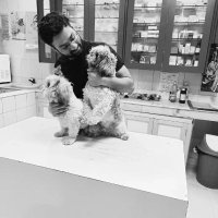 Dr Ashish Umar (@ashish_umar) 's Twitter Profile Photo Dr Ashish Umar (@ashish_umar) 's Twitter Profile Photo