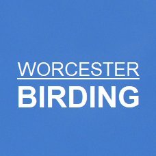 Rare & Scarce Bird News from across Worcestershire brought to you by @BirdersStore.

Please use hashtag #WorcsBirds with your sightings