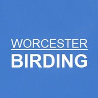 Worcester Birding(@WorcsBirding) 's Twitter Profileg