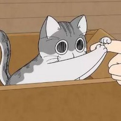 kitty1318677's profile picture. 