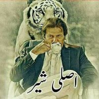 Masood Engg PTI(@QuresheeMasood) 's Twitter Profile Photo