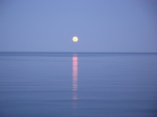 defendnature's profile picture. 