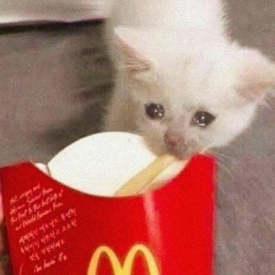 kiIomb0's profile picture. Paraguaya y cerrista, dios castiga dos veces