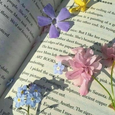 2년 만에 공계에 나온 그녀는 모든 것이 낯설다 하지만 카창 앞에서 못할게 어딨겠는가.
|패션 위주 1차 비엘계
