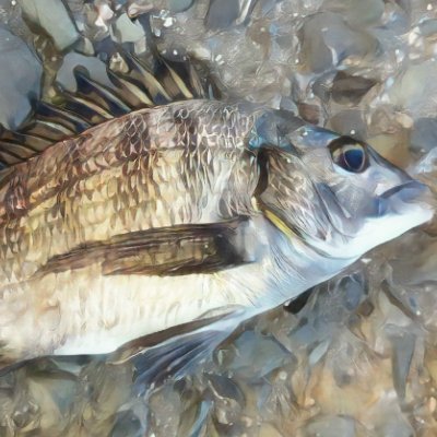 【Python頑張る】本業はSpringを扱うことが多いです | エンジニア歴2年 | IT系資格9つ(Python認定基礎・データ分析,応用情報 etc) | Pythonなど技術系の発信をしていくつもりです。ぜひ仲良くしてください♪