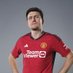 Harry Maguire (@HarryMaguire93) Twitter profile photo