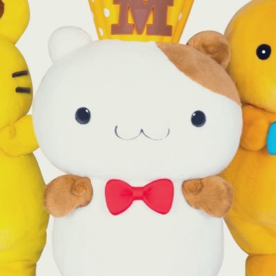 yamada_intpa's profile picture. 正しい