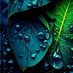 Ahmed ALQadhi (@devahmedalqadhi) Twitter profile photo Ahmed ALQadhi (@devahmedalqadhi) Twitter profile photo