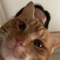 π’πΆπππ (@gfthgcb) 's Twitter Profile