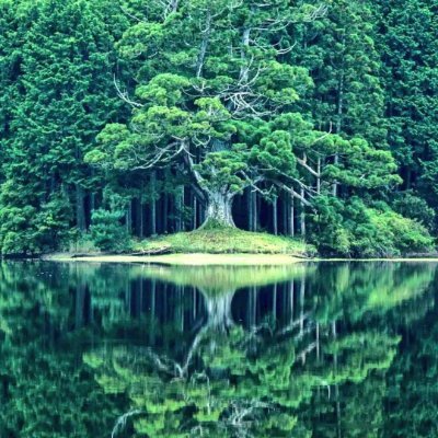 FranklinMo25581's profile picture. 