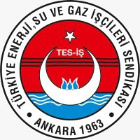 TES-İŞ SENDİKASI (@tes_is1963) 's Twitter Profile