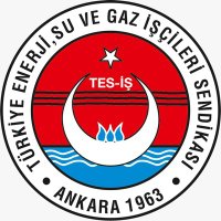 TES-İŞ SENDİKASI(@tes_is1963) 's Twitter Profileg