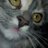 Scuzzthecat's profile image