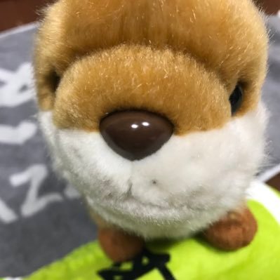 dekosyumusic's profile picture. @dekosyuのYouTube再生リスト垢、BMSGのMAZZELメインのリストを公開しています🫶固定ツイ&ツリーをよく読んでからご利用ください🙇‍♀️他界隈の方・情報収集目的の方はご遠慮ください🙏MAZZELとMUZEでいい景色見に行きましょう🌎