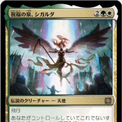 20年ぶりにMTG復帰。シガルダ関連コレクター。パウパーで遊びたい。ランデス愛好家。最近FaBも始めました。