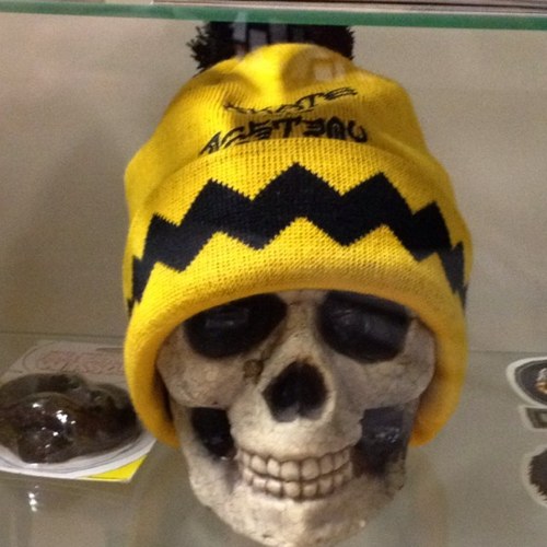 reconskateboard's profile picture. Were a skater owned and operated skateboard shop. We Actually skate the products we sell.  Located @ 317 e. main st. Fallbrook. ca 92008. come check us out!