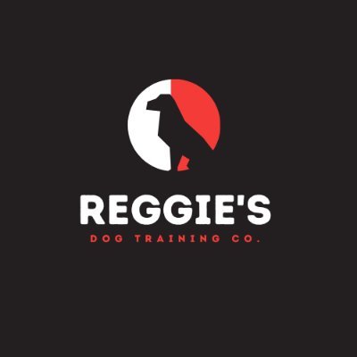 Reggie's dog training program  .❤️…https://t.co/QO2cjwi70c