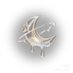 for minamz ❀.* (@rickymybabycat) Twitter profile photo for minamz ❀.* (@rickymybabycat) Twitter profile photo
