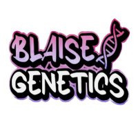 Blaise Genetics (@blaisegenetics) 's Twitter Profile