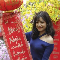 Nava Lục Bình (@d8e6pi4kjg) 's Twitter Profile