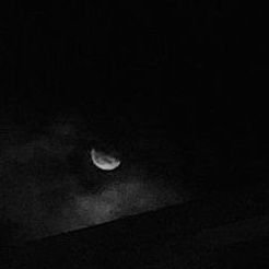 Sayyed_muskan09's profile picture. Software Engineer https://t.co/UOL0V6FkzF  ||  Full-Stack Developer  ||  Technical Writer  ||  Can help you with web development and audience building |