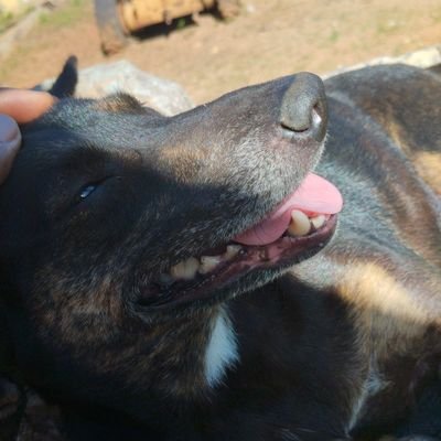 Gutsbenn's profile picture. 