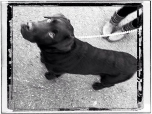 drfishsticks's profile picture. Omnia Feminae Aequissimae